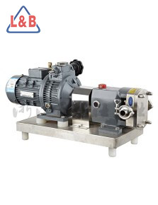 Rotary lobe pump